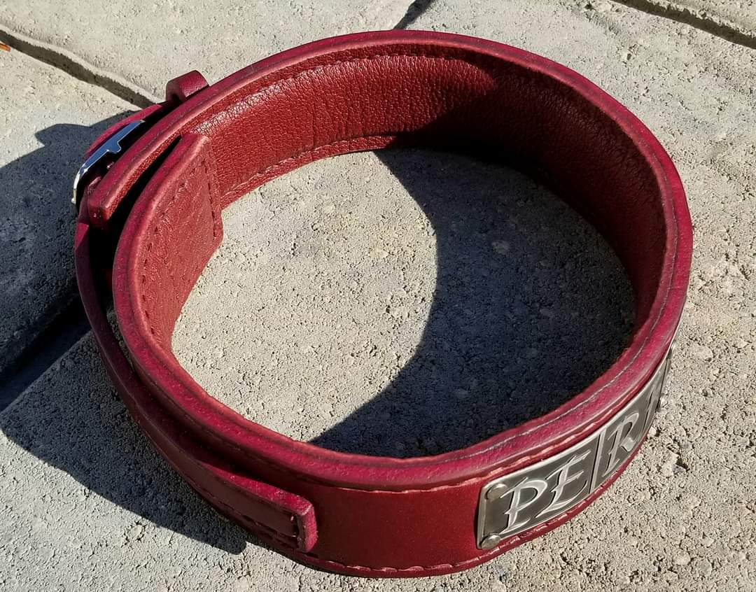 "Perfection" Luxury Leather Bondage Collar