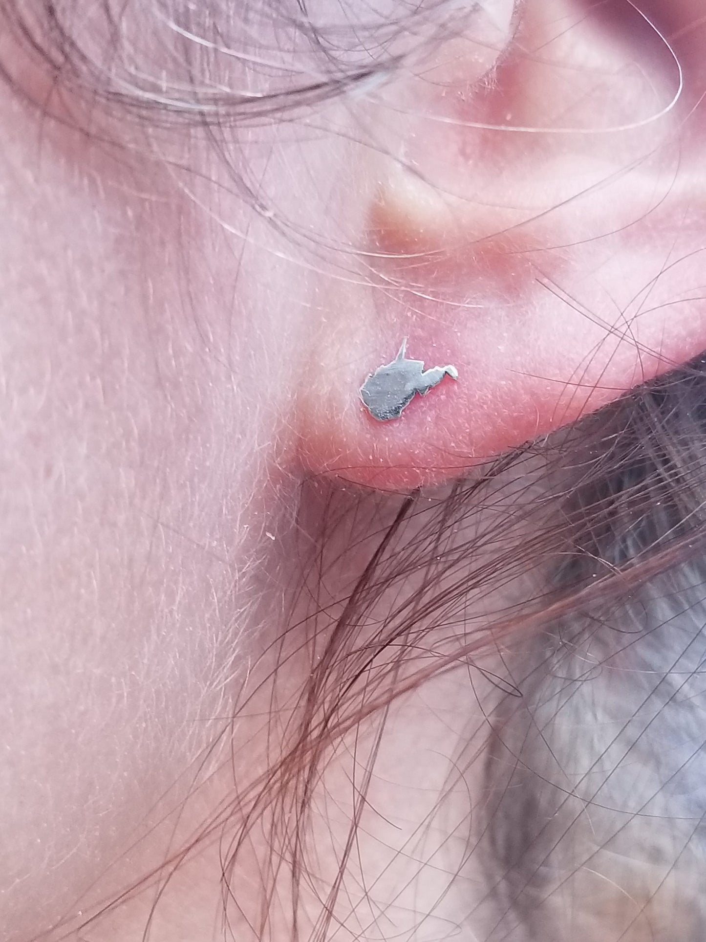 West Virginia Sterling Silver Earrings.