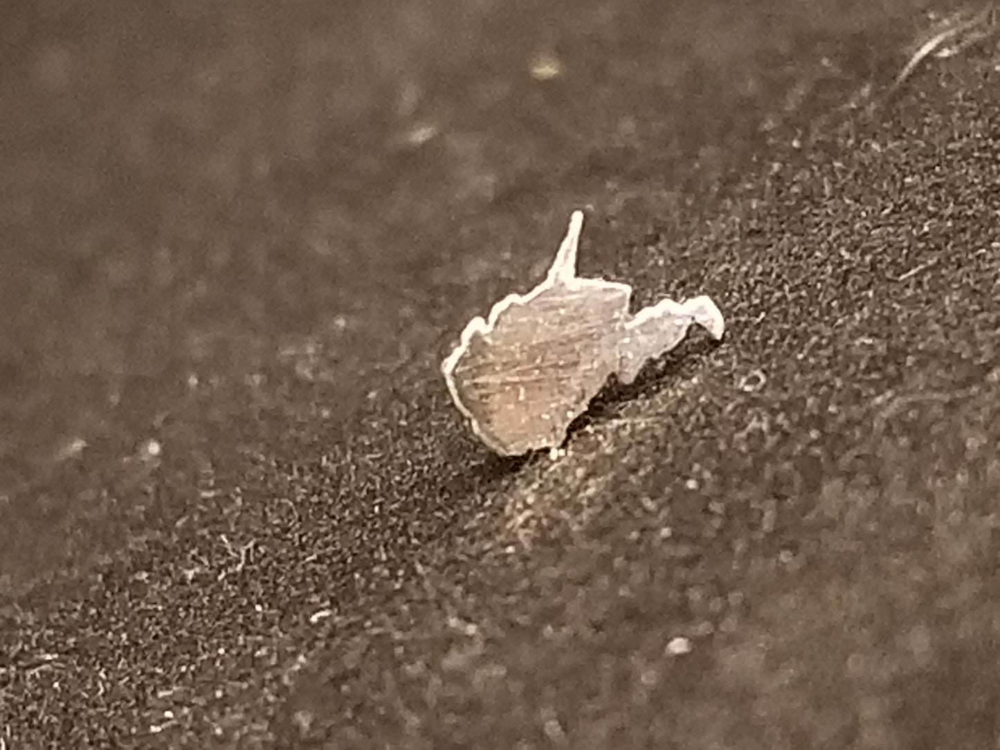 West Virginia Sterling Silver Earrings.
