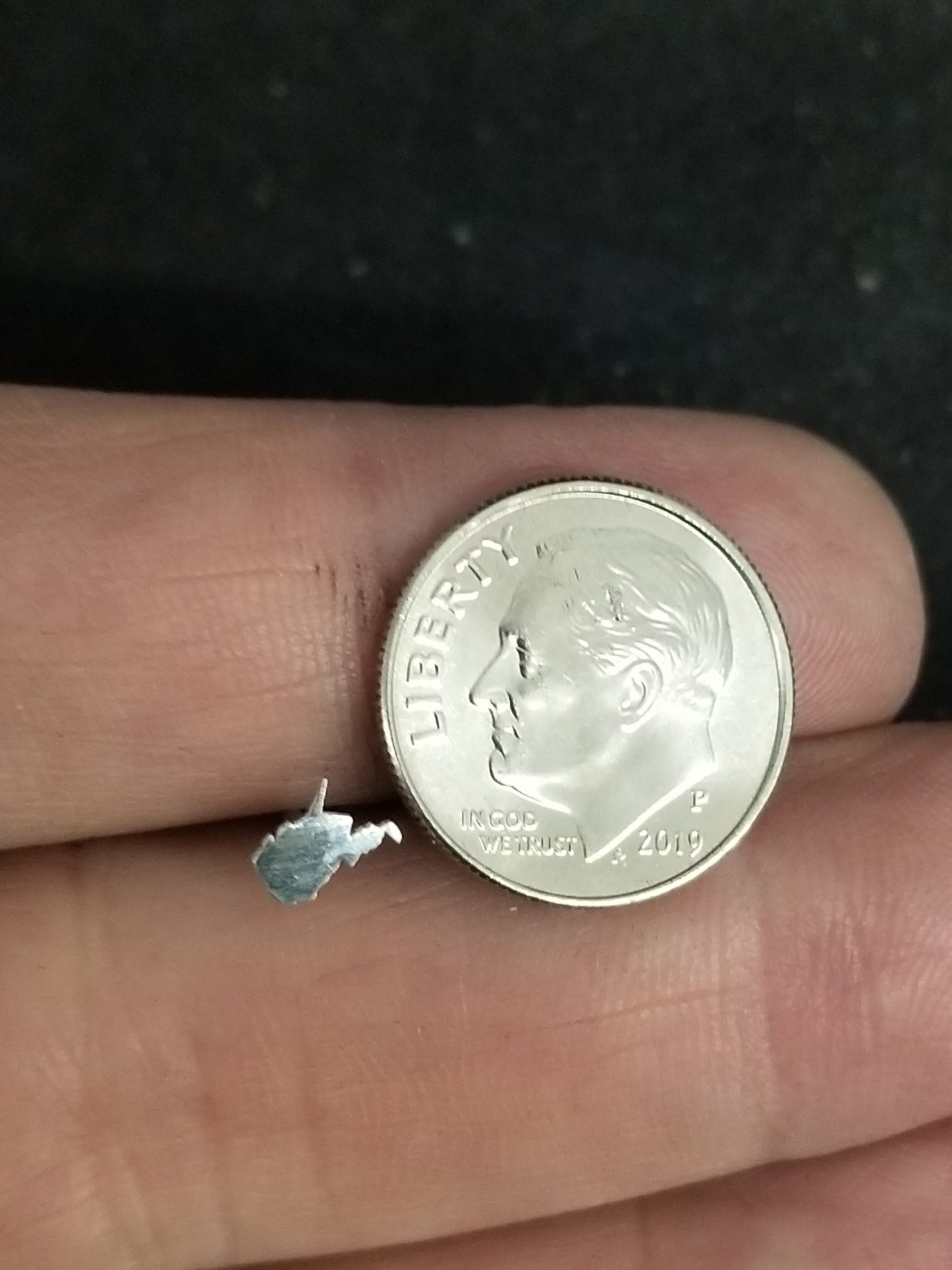 West Virginia Sterling Silver Earrings.